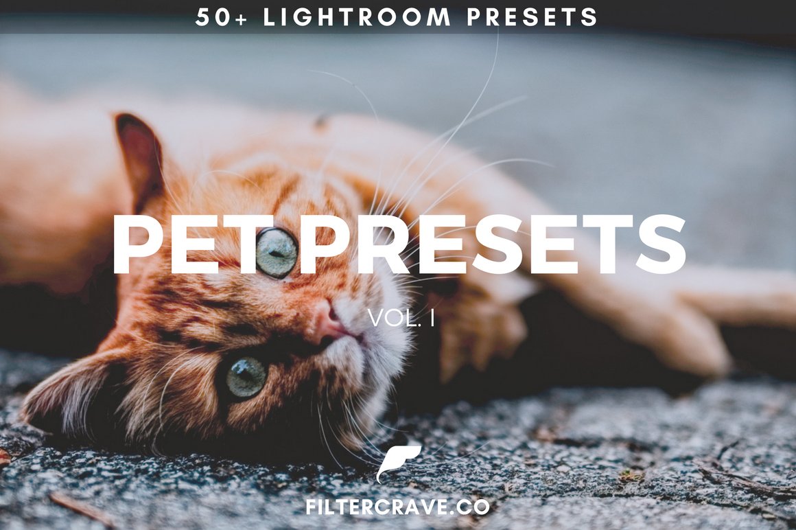 50+ Pet Lightroom Presets Vol. Icover image.