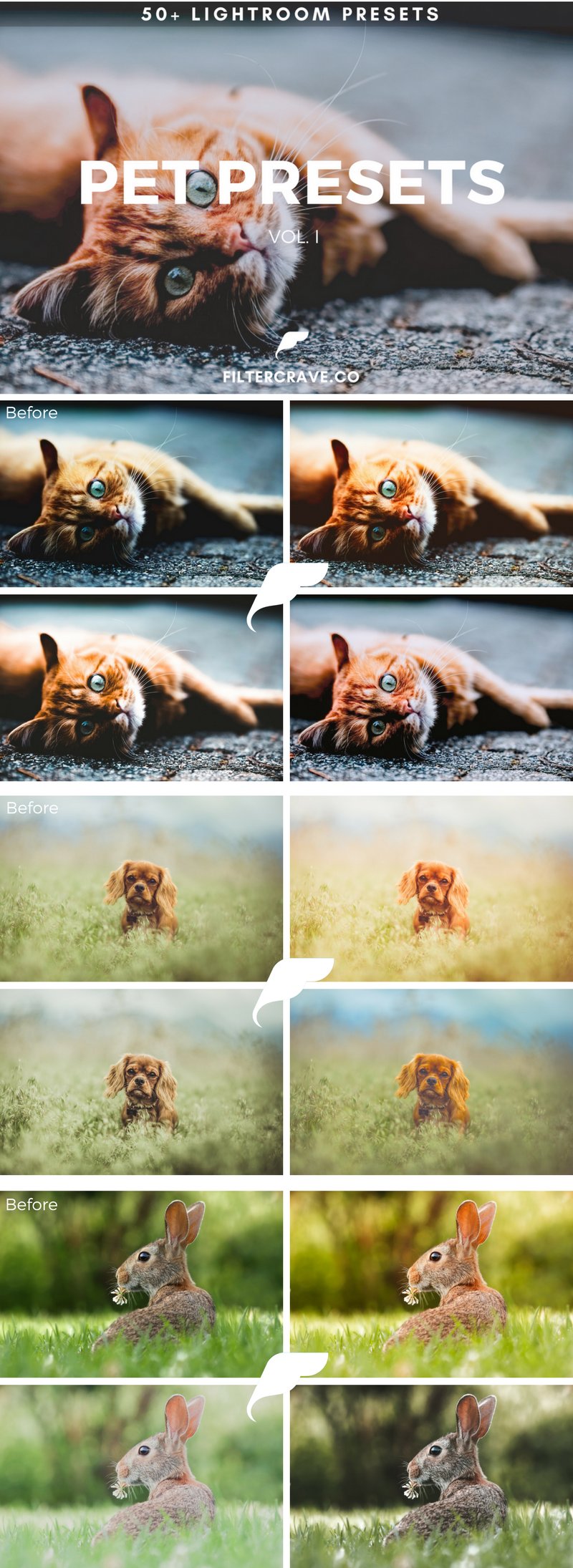 pets lightroom presets volume 1 infographic filtercrave 414