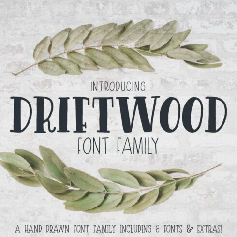 Driftwood Font Family cover image.