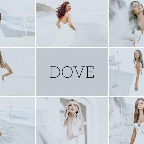 Dove Preset | Lightroom Presetcover image.