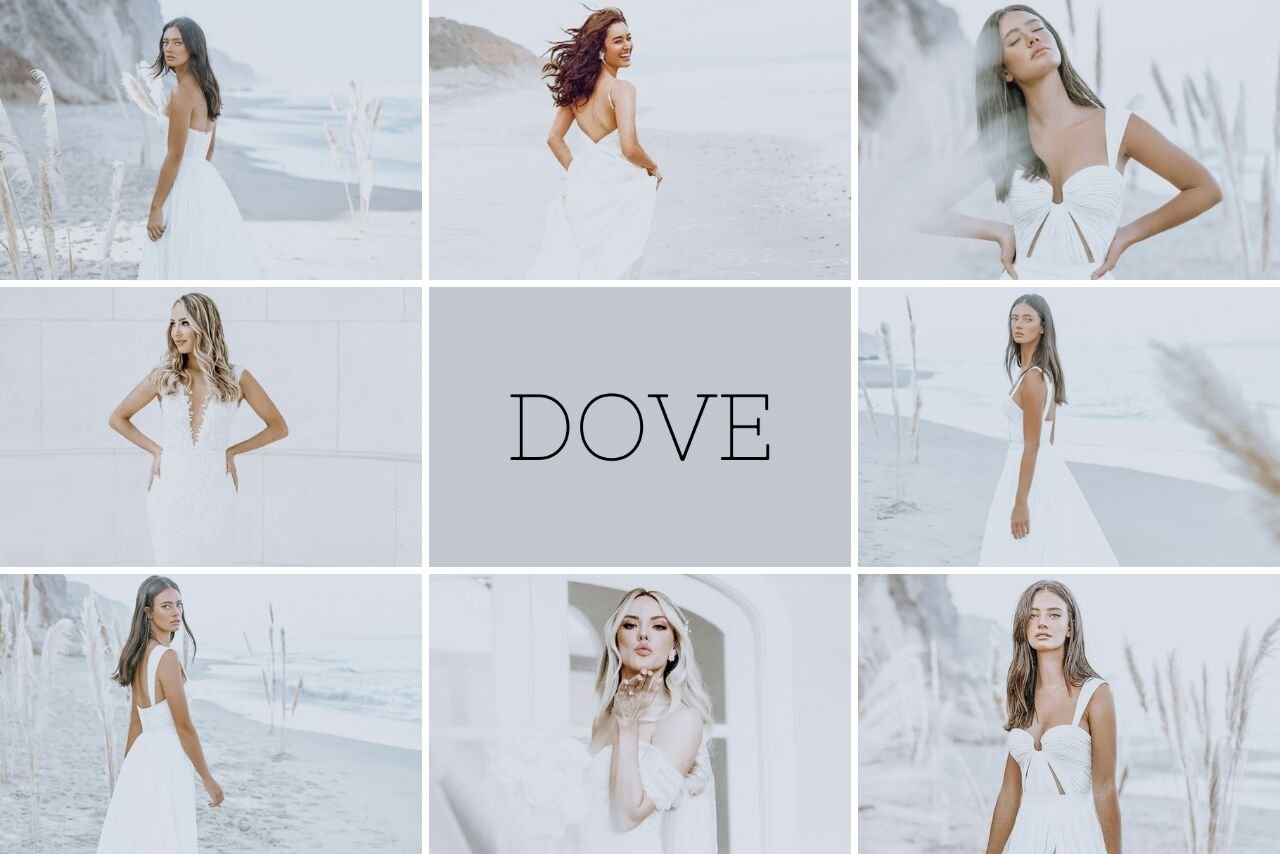 Dove Preset | Lightroom Presetcover image.