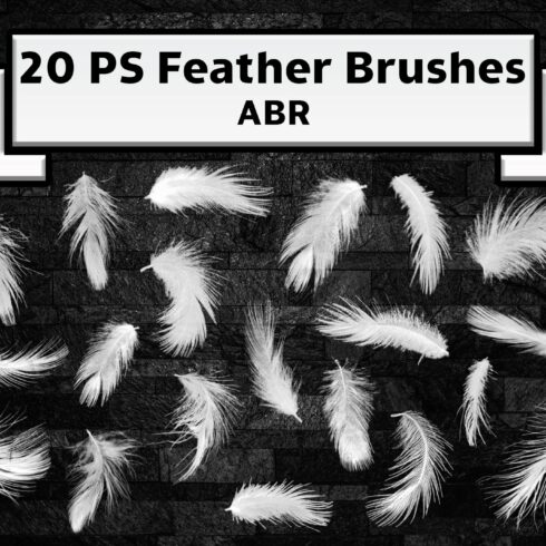 Adobe Photoshop feather brushescover image.