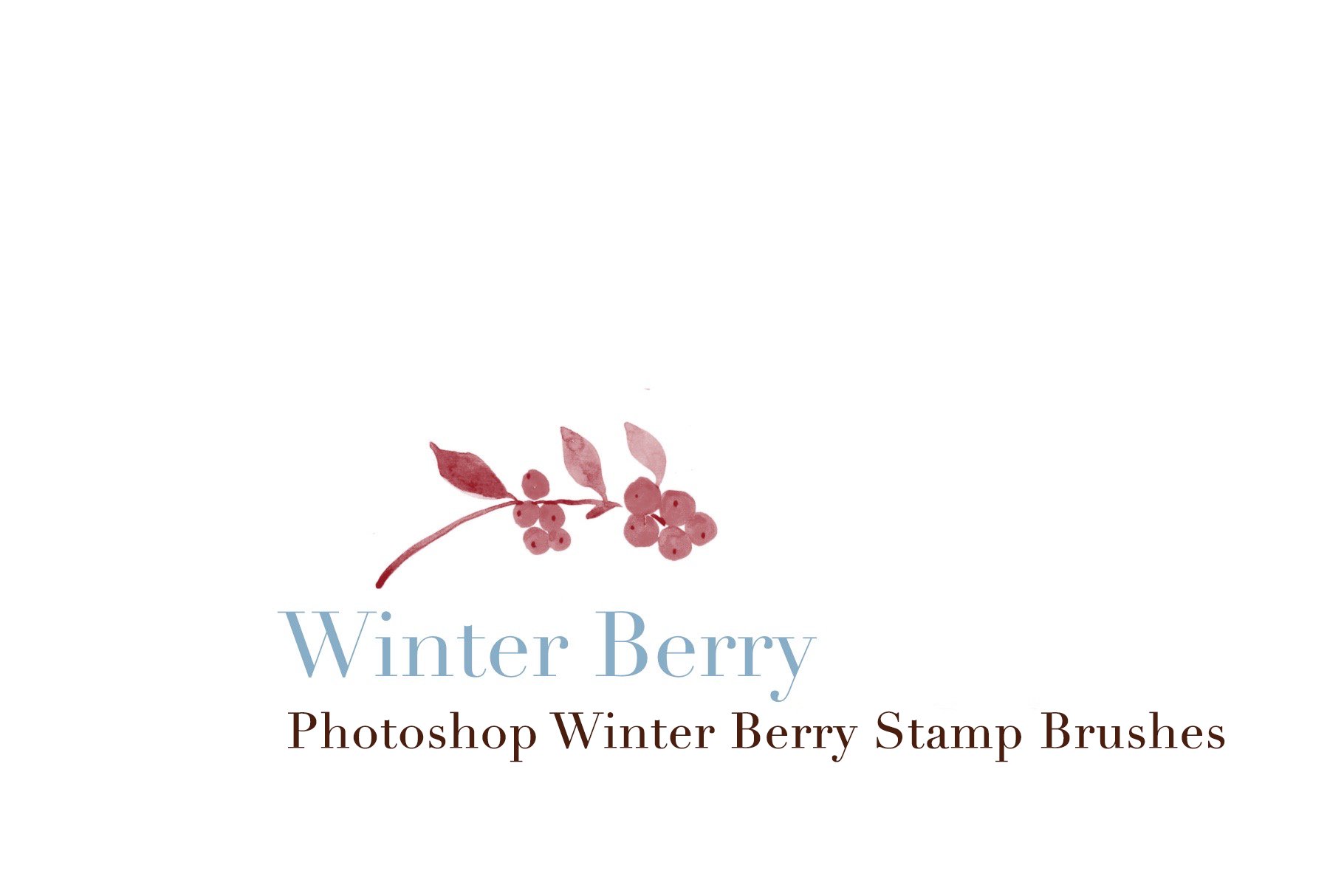 photoshop winter berry stamp brushes copy 10 728