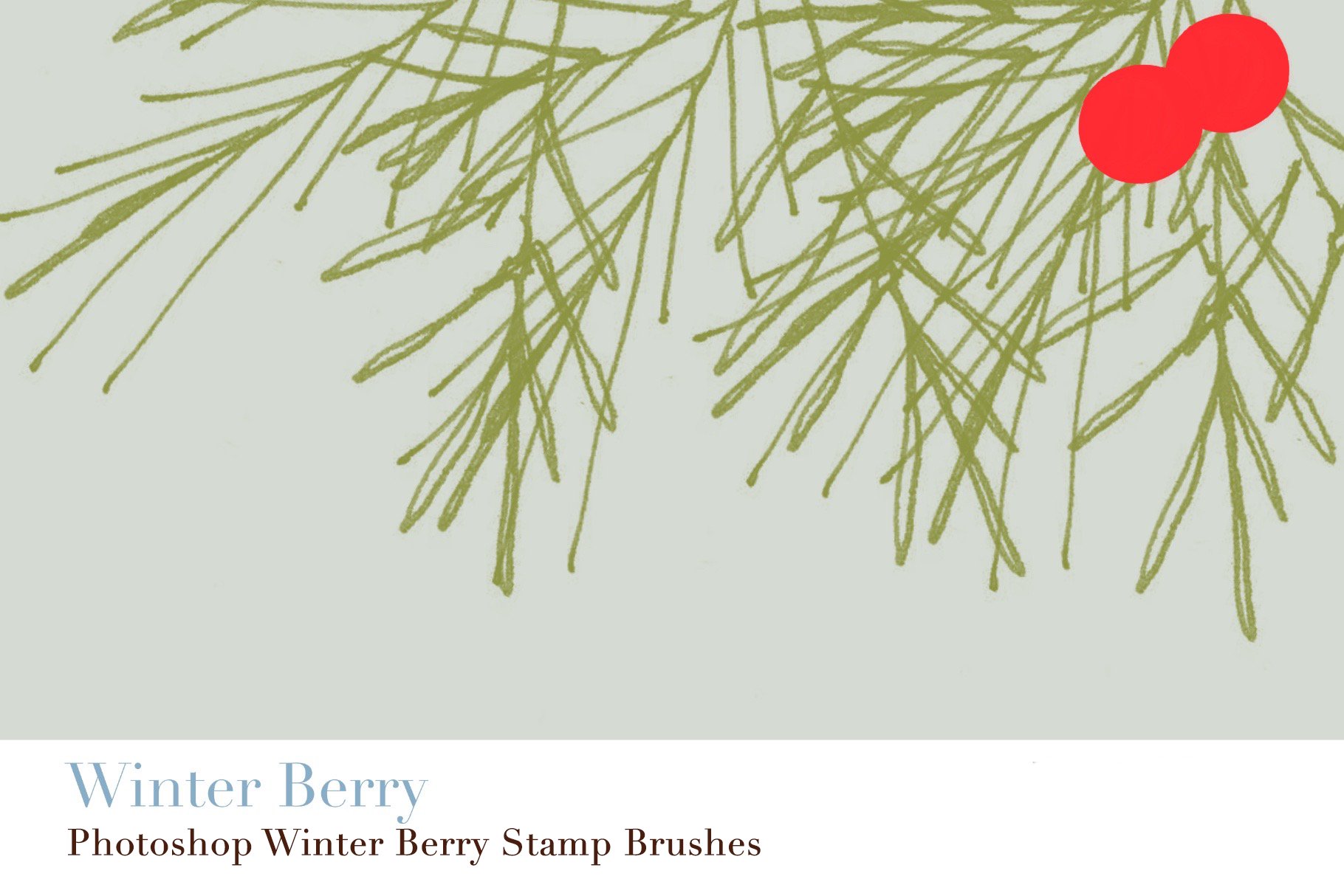 photoshop winter berry stamp brushes copy 11 878