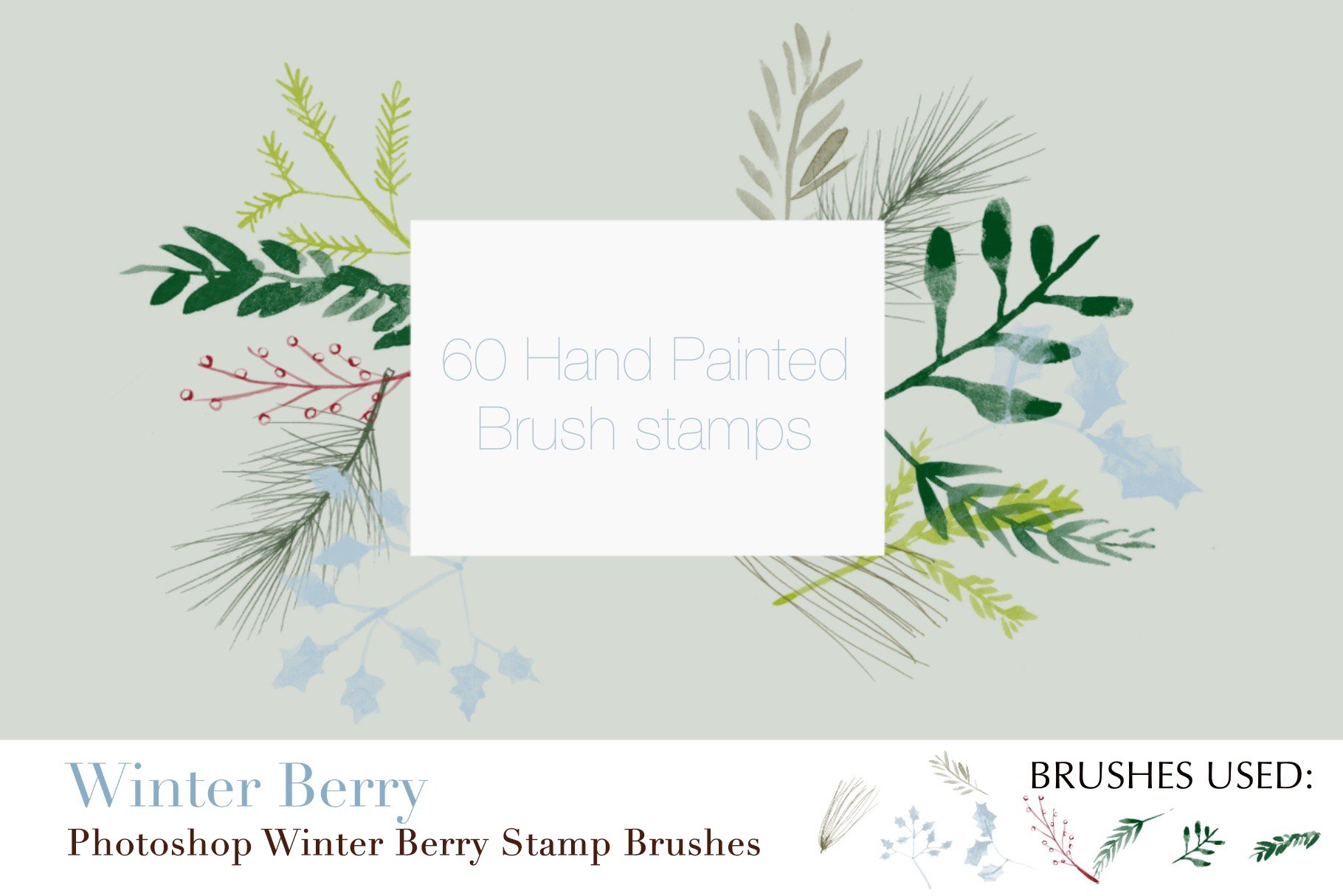 photoshop winter berry stamp brushes copy 12 315