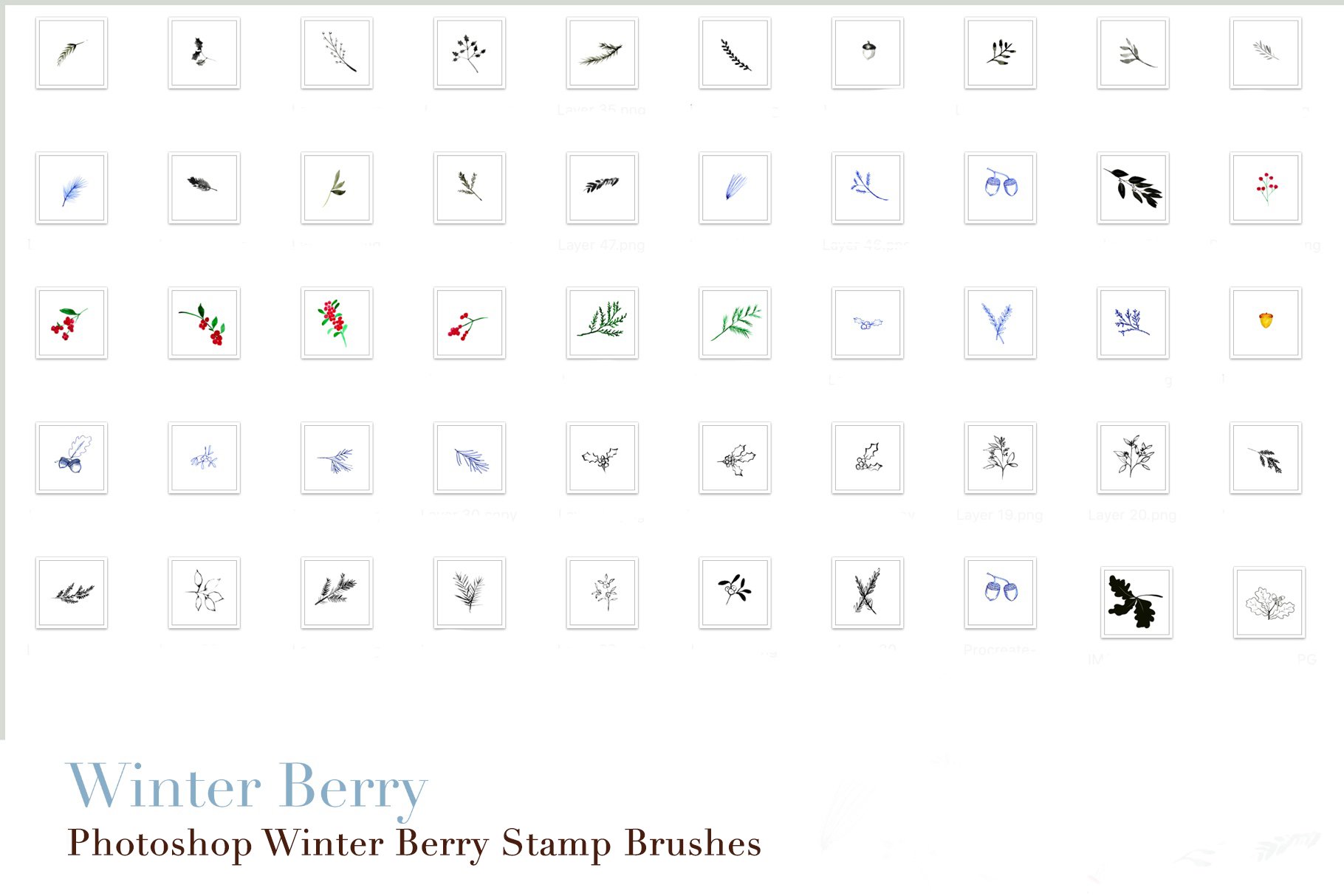 photoshop winter berry stamp brushes copy 13 799