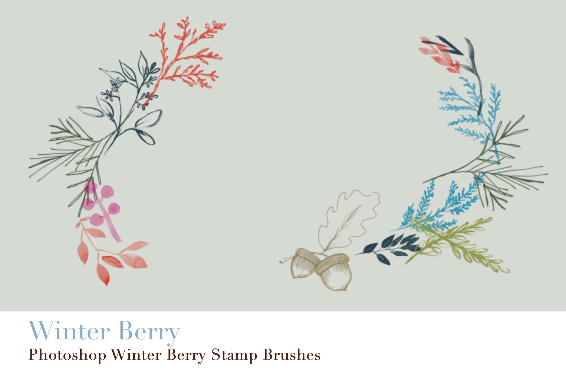 photoshop winter berry stamp brushes copy 14 219