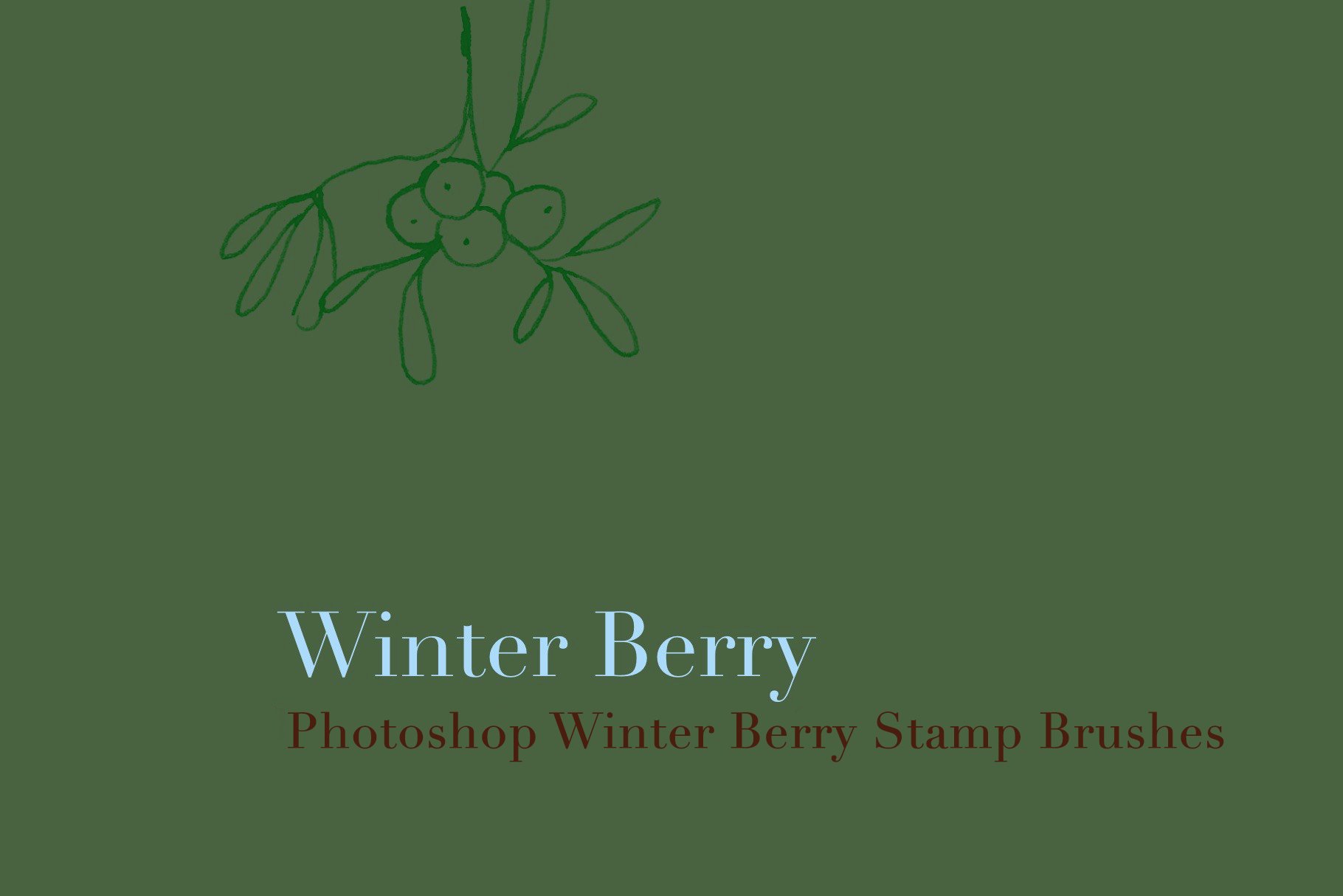 photoshop winter berry stamp brushes copy 2 799