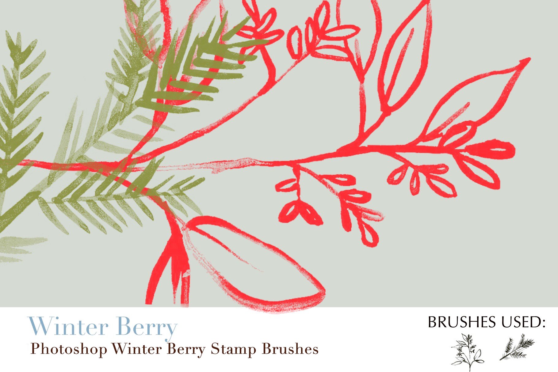 photoshop winter berry stamp brushes copy 3 975