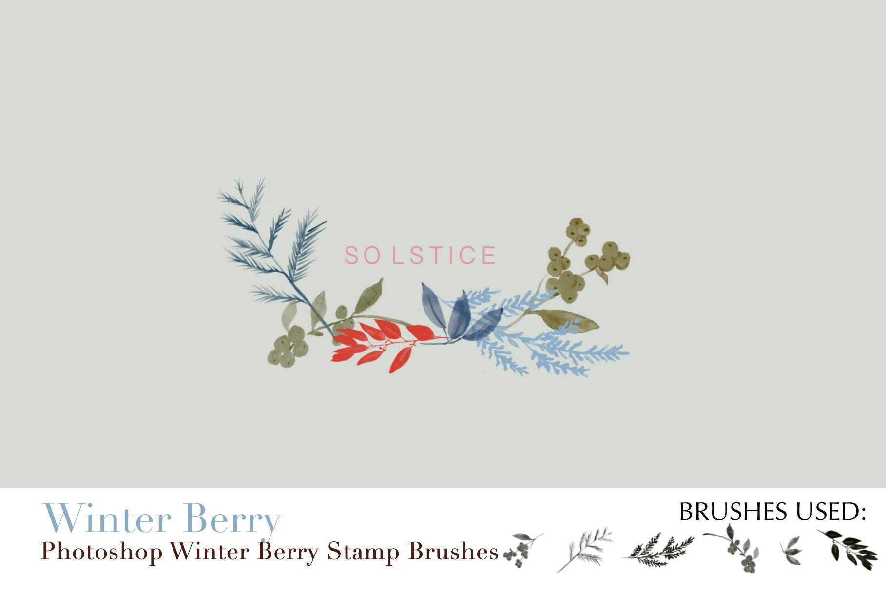 photoshop winter berry stamp brushes copy 5 938