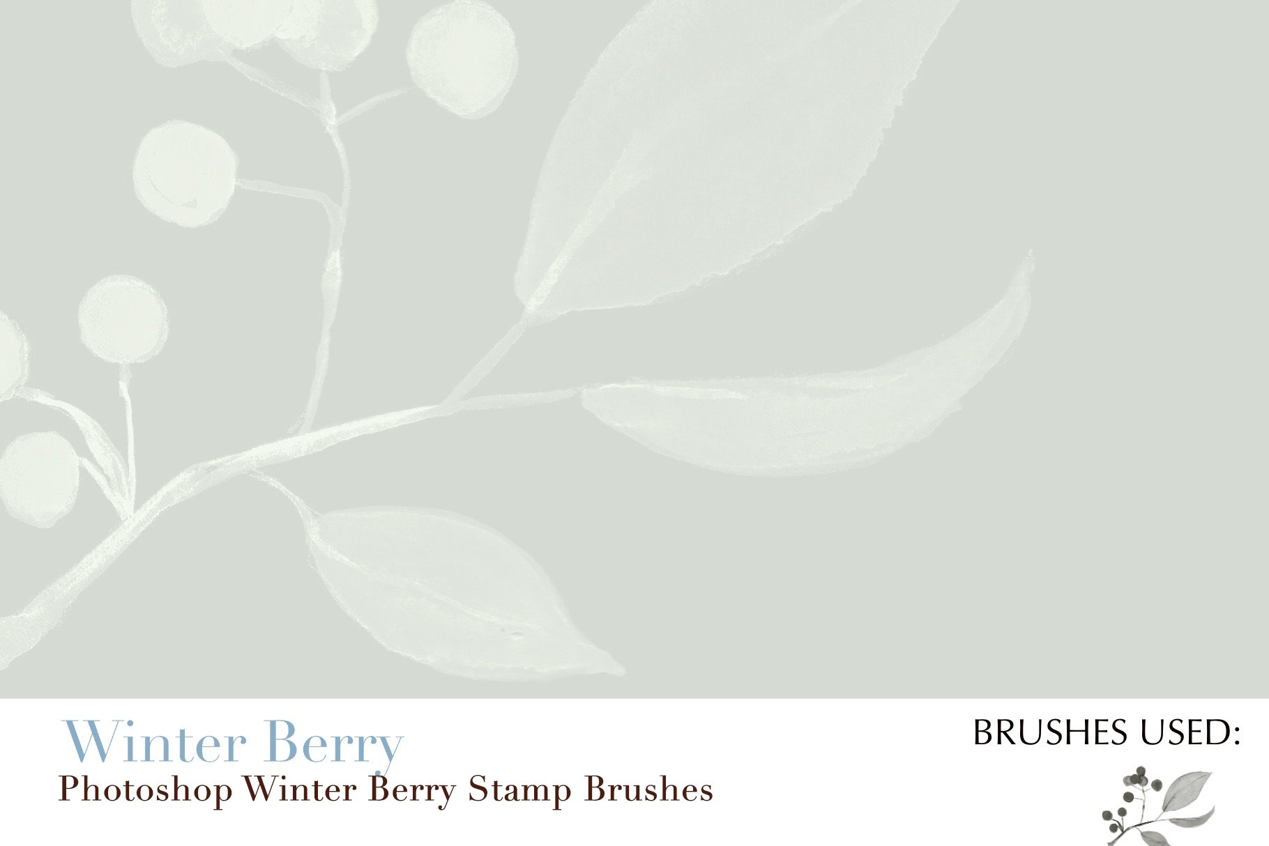 photoshop winter berry stamp brushes copy 8 533