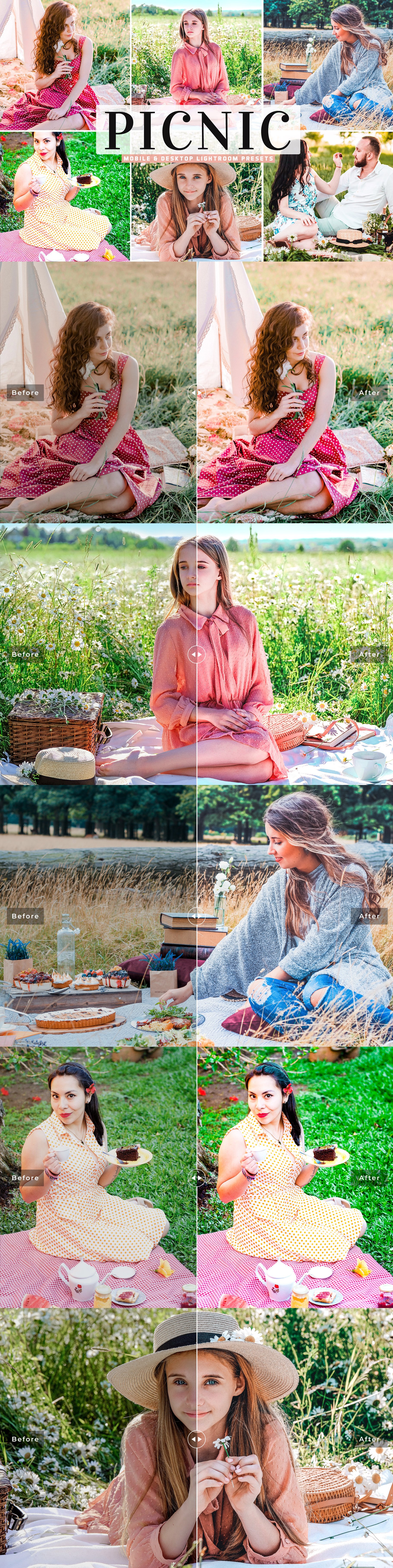 Picnic Pro Lightroom Presets Packcover image.