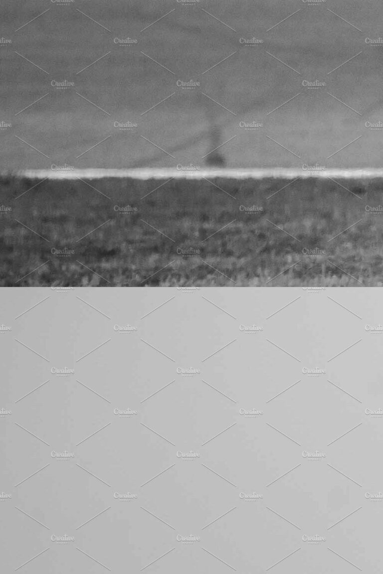 10 Black and White Lightroom Presets MasterBundles