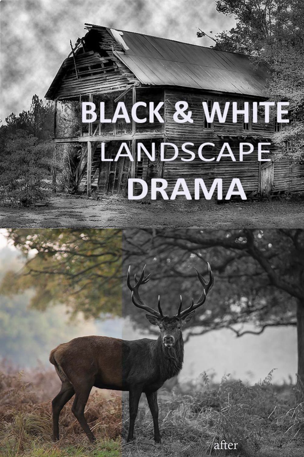 10 Black & White Landscape Drama pinterest preview image.