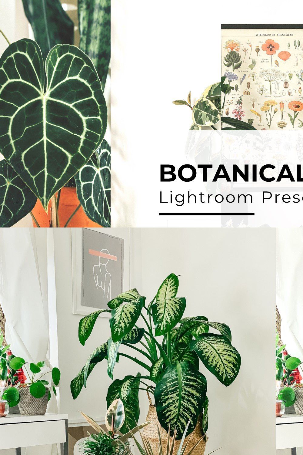 10+ Botanical Lightroom Presets pinterest preview image.