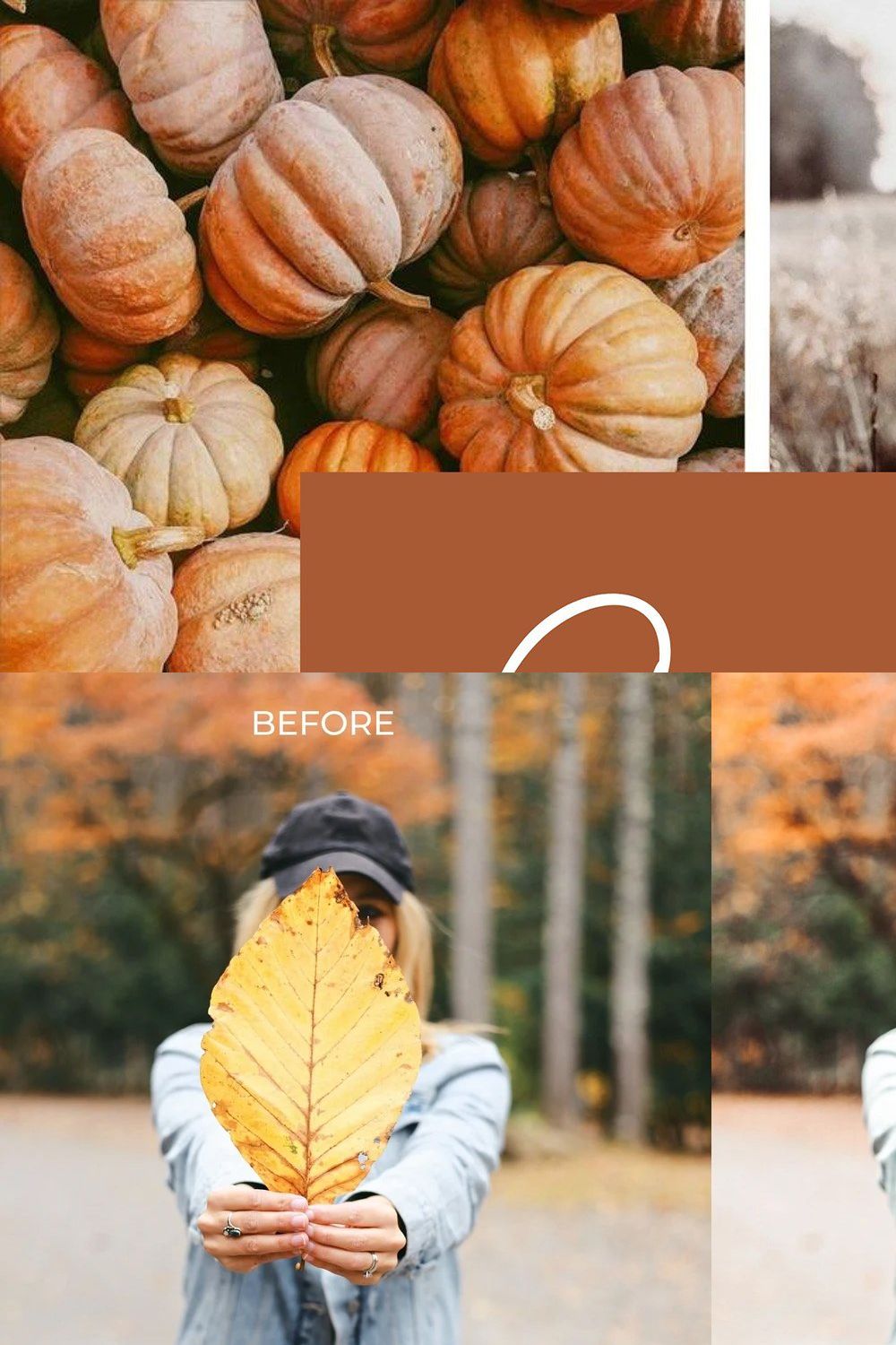 10 COZY FALL LIGHTROOM PRESETS pinterest preview image.