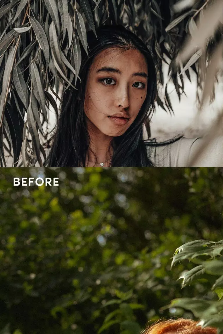 10 EARTHY LIGHTROOM PRESETS MasterBundles