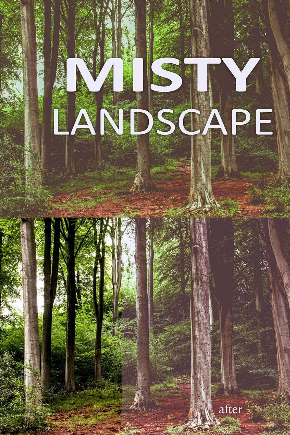 10 Misty Landscape Presets pinterest preview image.