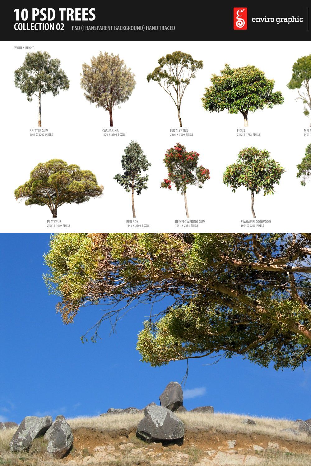 10 PSD Trees Collection 2 pinterest preview image.