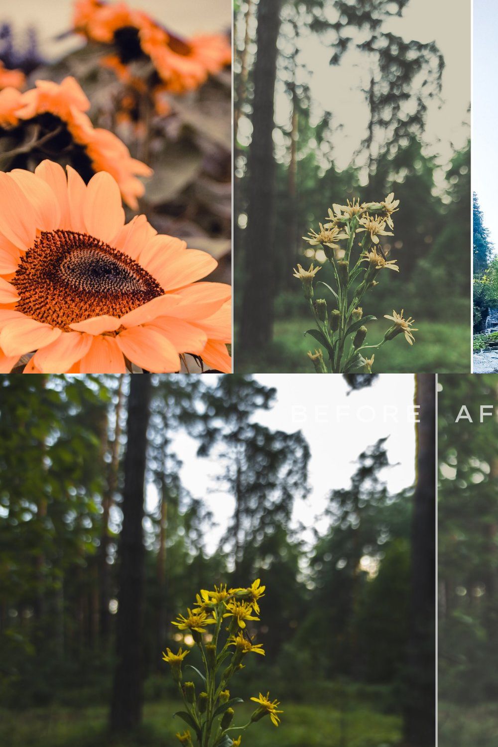 100 Spring Lightroom Presets Bundle pinterest preview image.