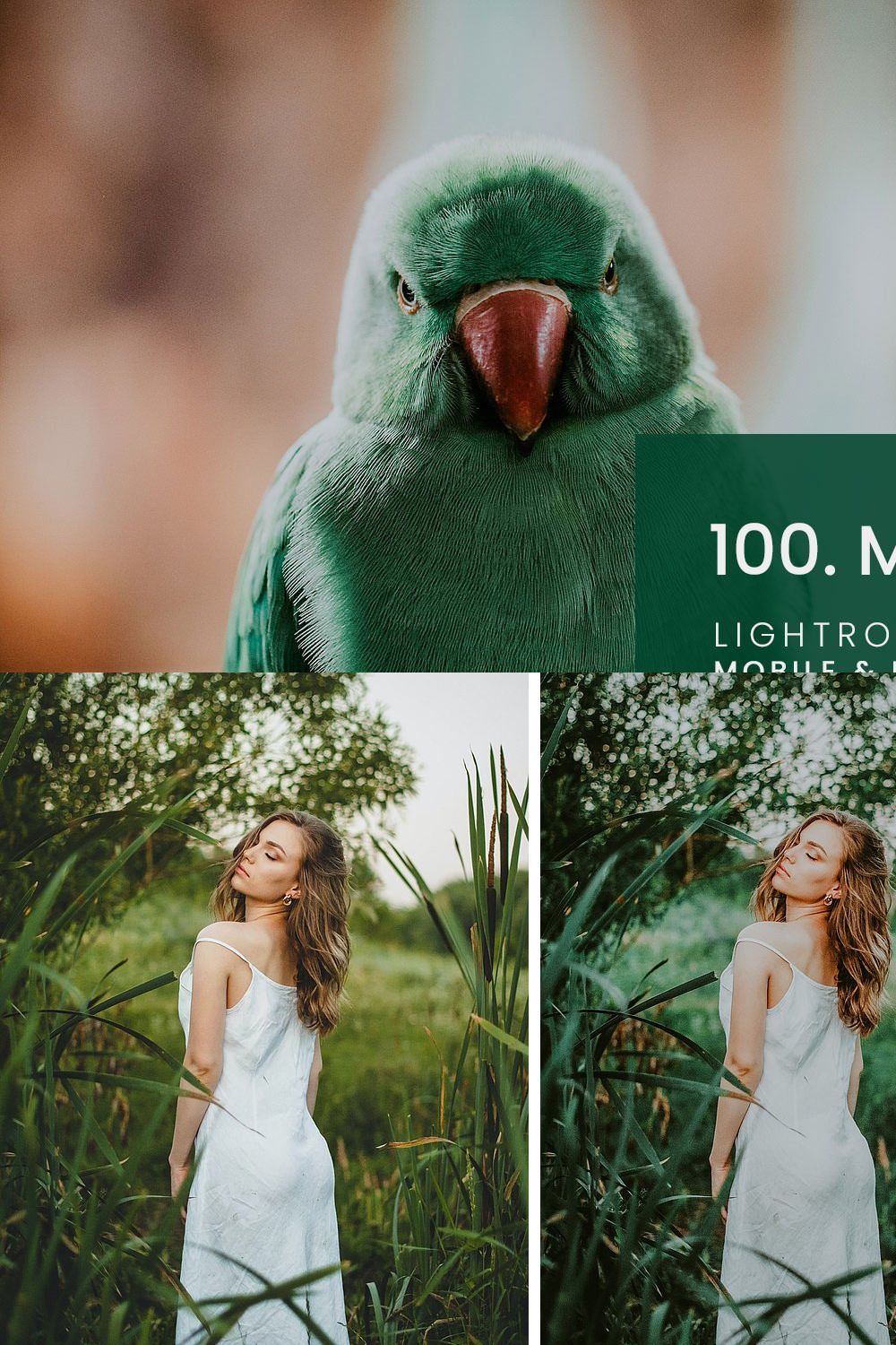 100. Moody Green Preset pinterest preview image.