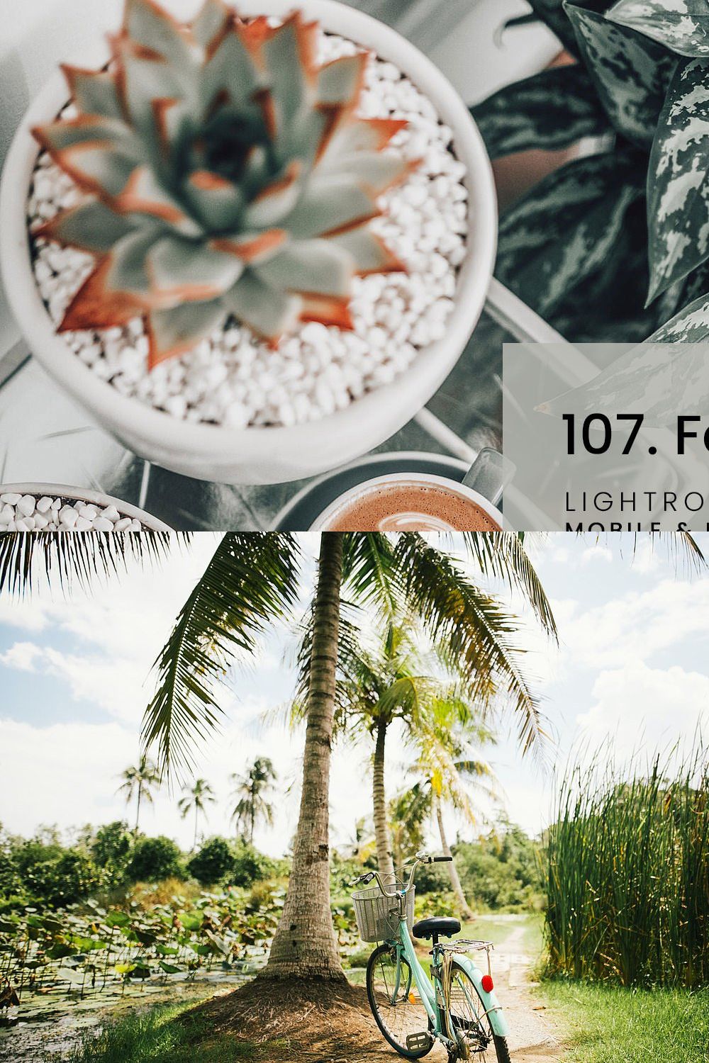 107. Fern Presets pinterest preview image.
