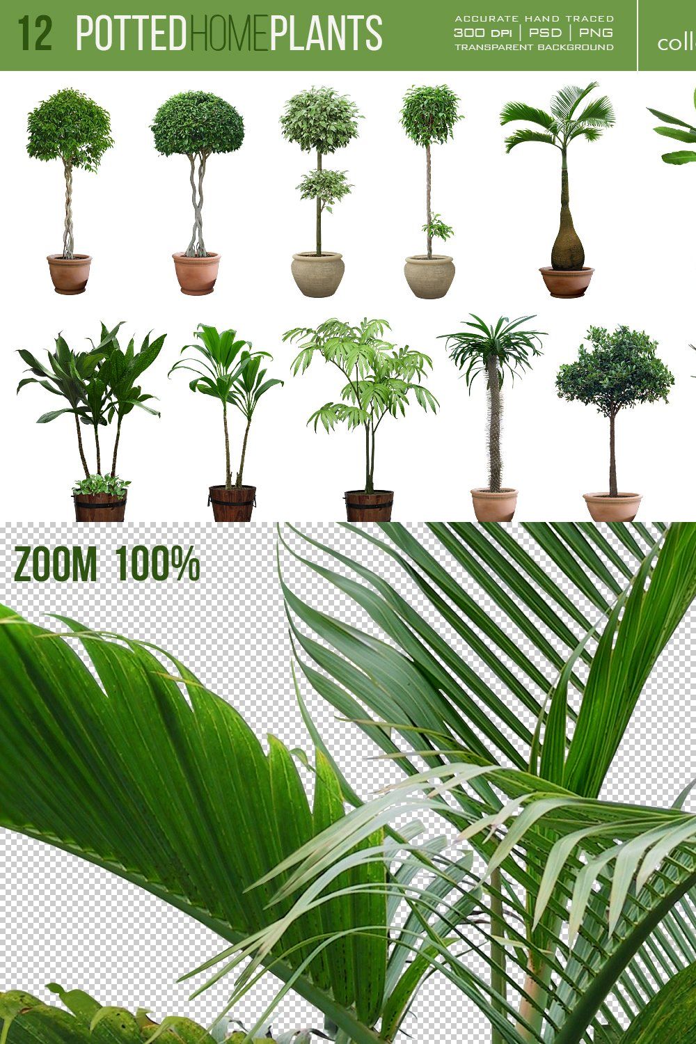 12 Potted Home Plants vol.4 pinterest preview image.