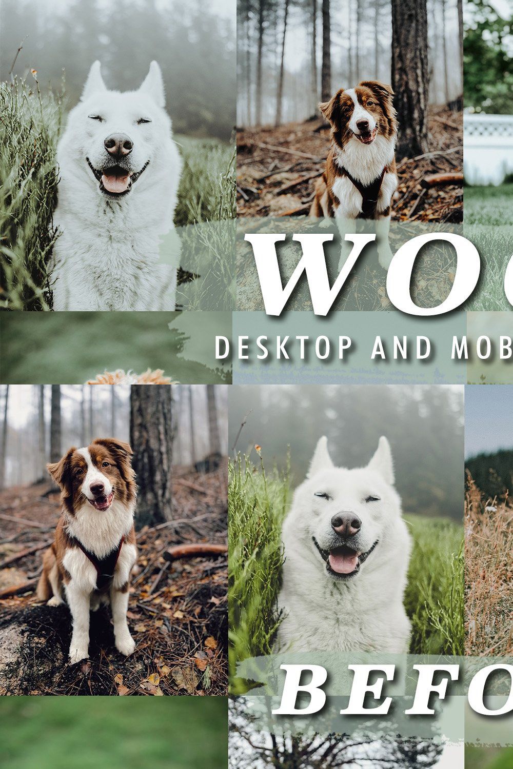 12 Woof Lightroom Presets pinterest preview image.