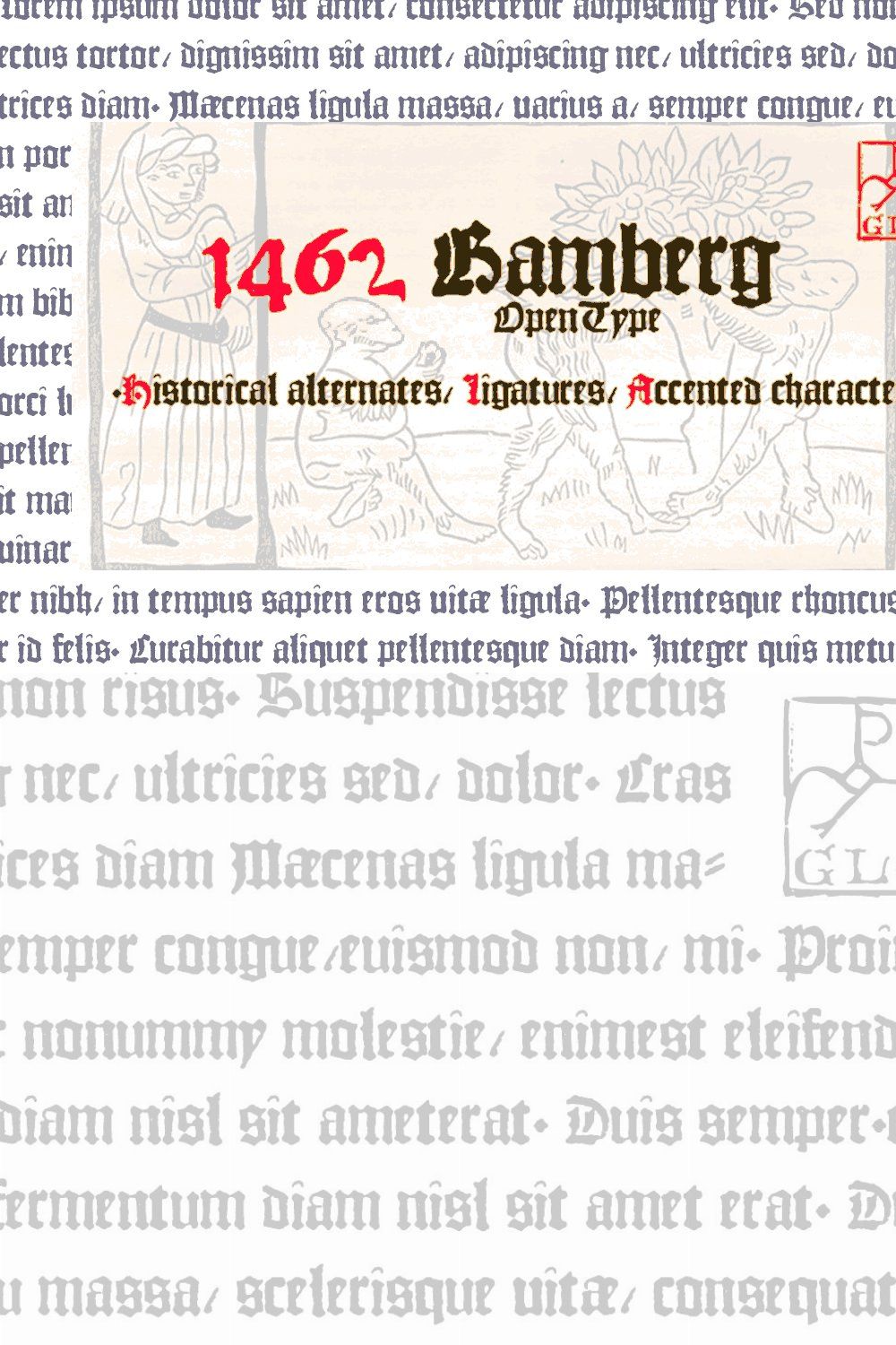 1462 Bamberg OTF pinterest preview image.