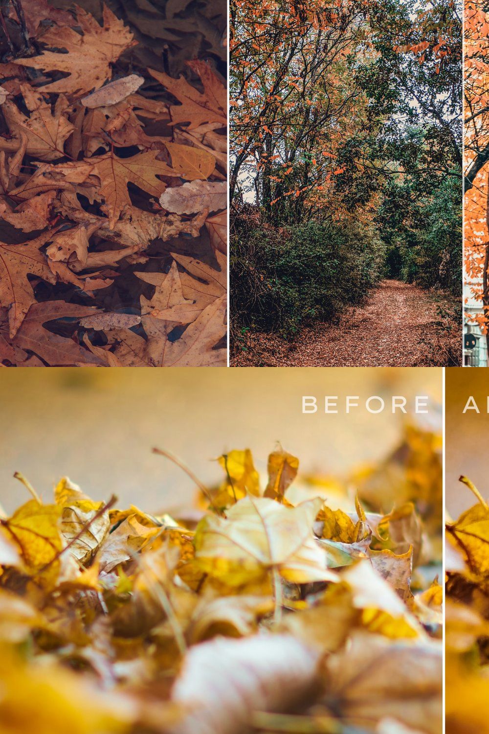 150 Autumn Lightroom Presets Bundle pinterest preview image.