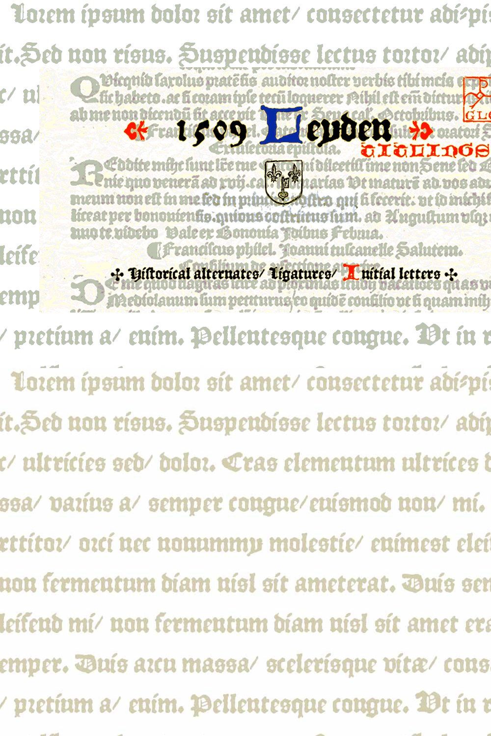 1509 Leyden OTF pinterest preview image.