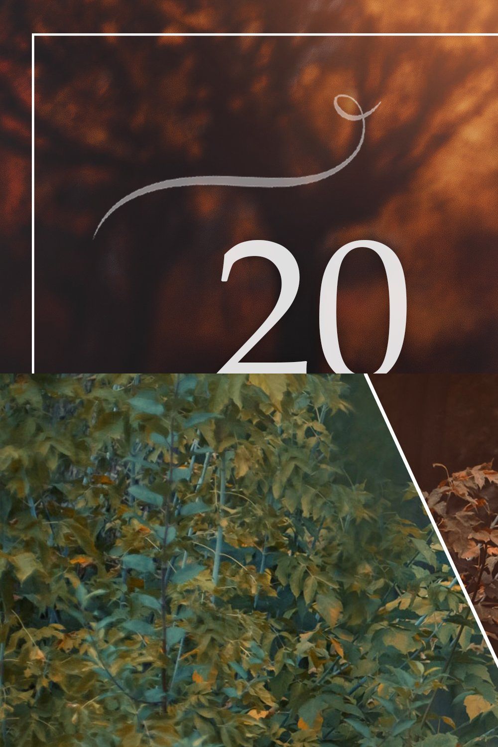 20 Autumn LUTs Pack pinterest preview image.