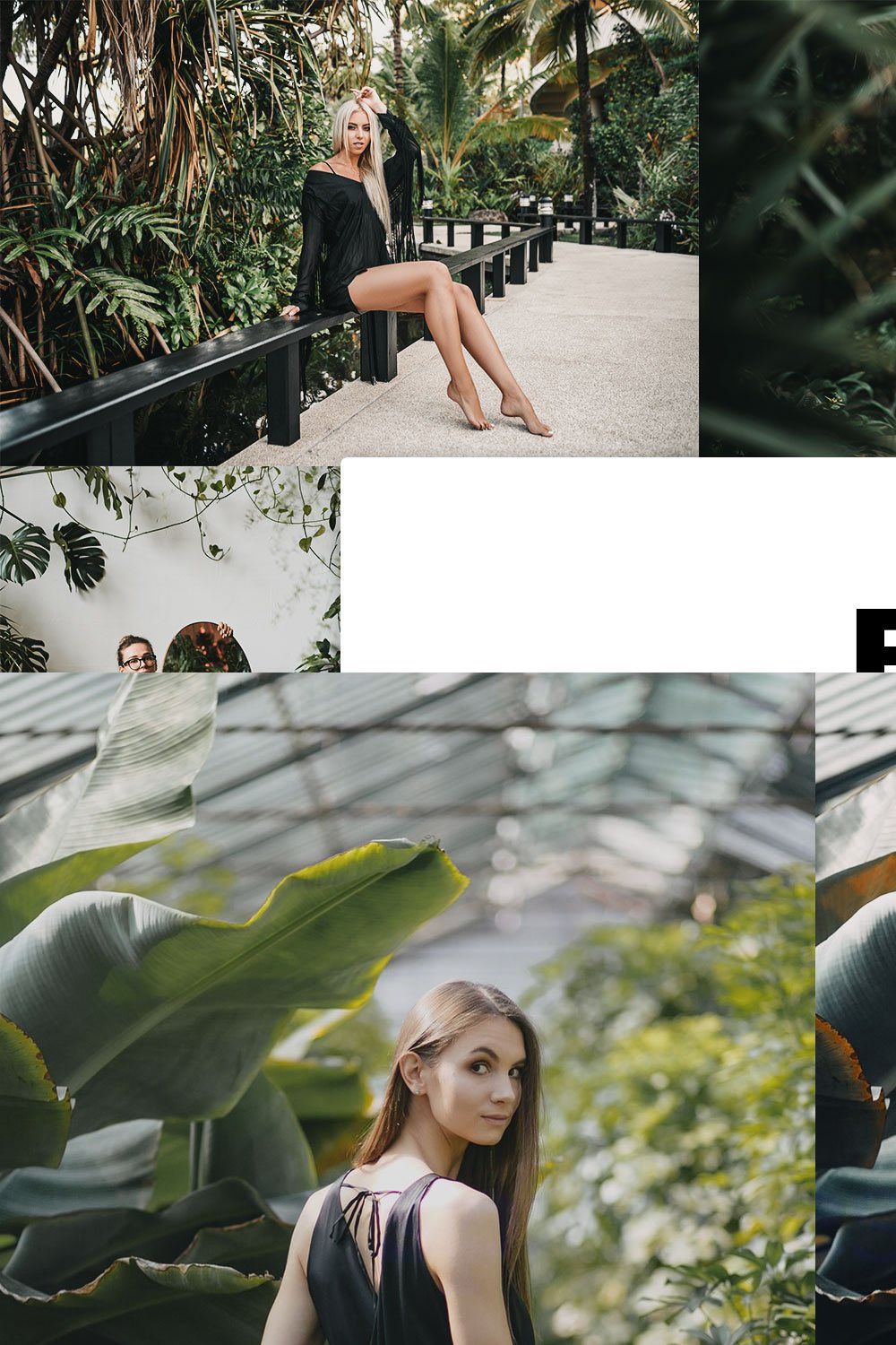 20 Basil Lightroom Presets & LUTs pinterest preview image.