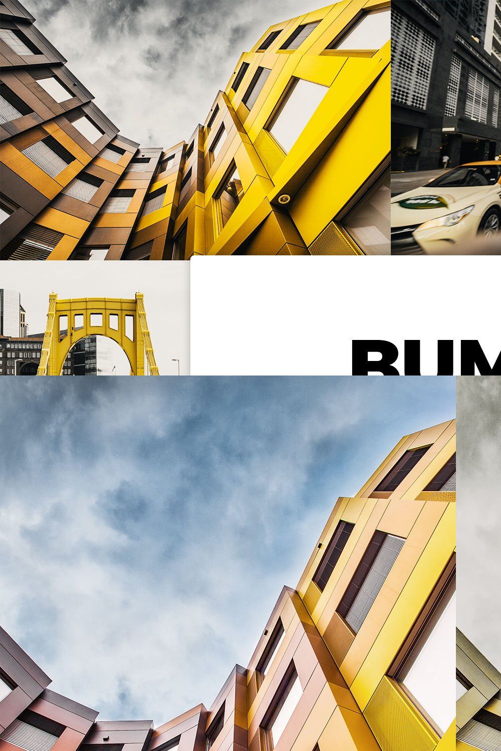 20 Bumblebee Lightroom Presets LUTs pinterest preview image.