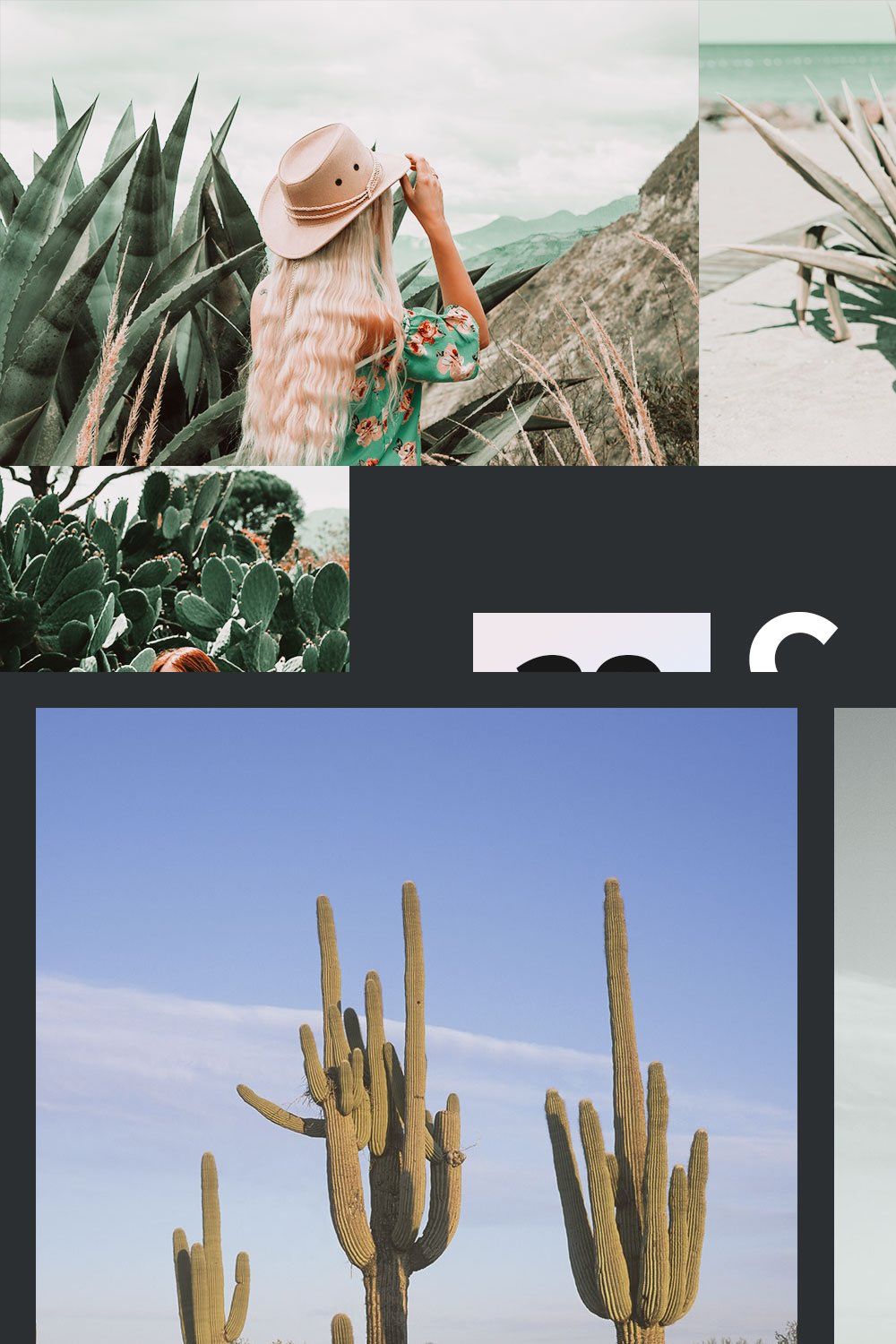20 Cactus Lightroom Presets and LUTs pinterest preview image.