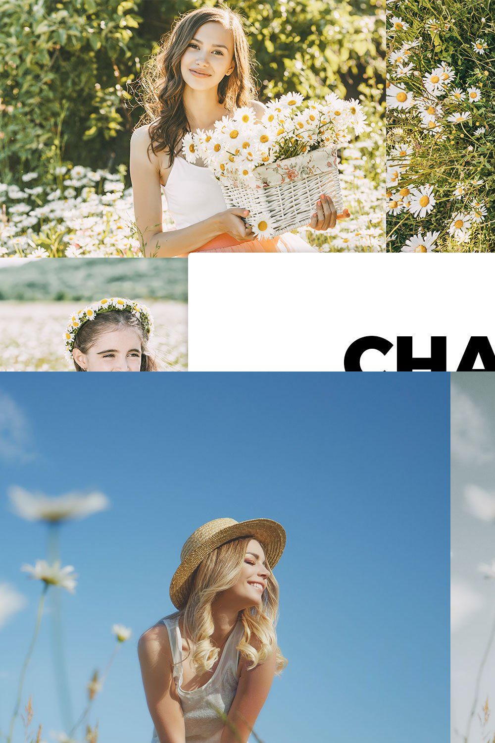 20 Chamomile Lightroom Presets & LUT pinterest preview image.