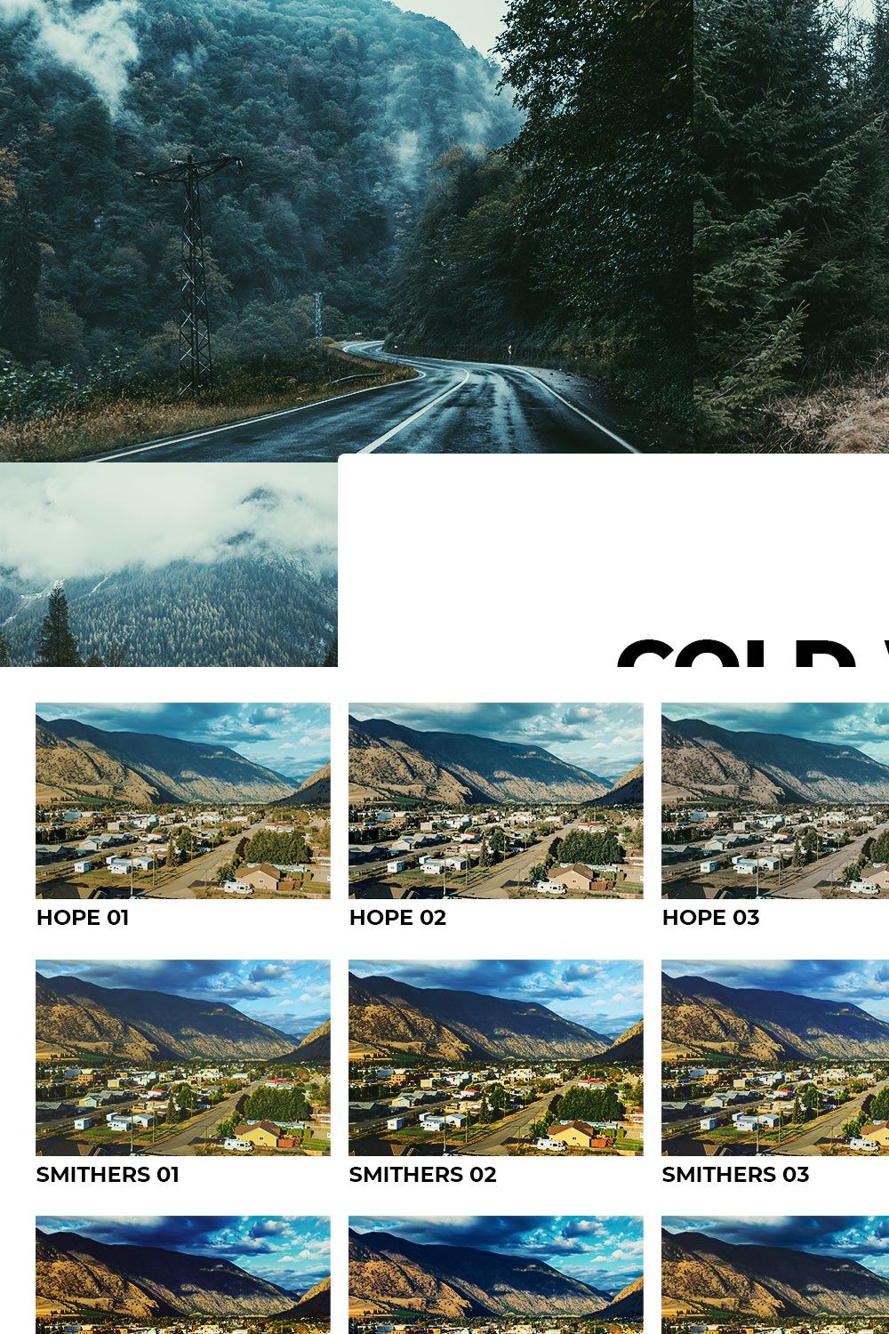 20 Cold Wilderness Lightroom Presets pinterest preview image.