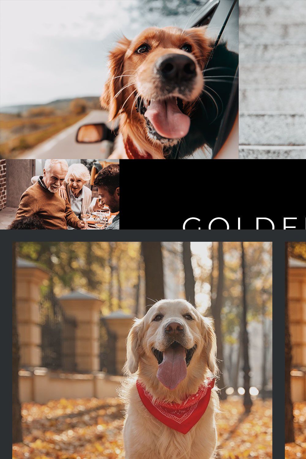 20  Golden Retriever LR Presets pinterest preview image.