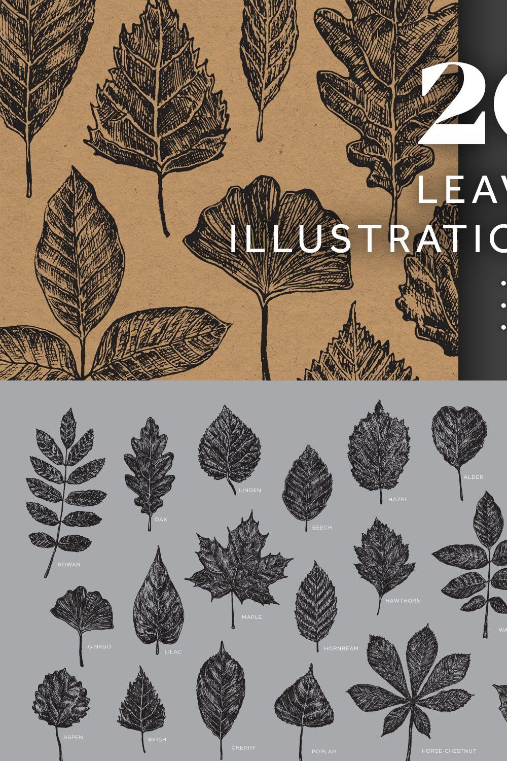 20 Leaves Illustrations pinterest preview image.