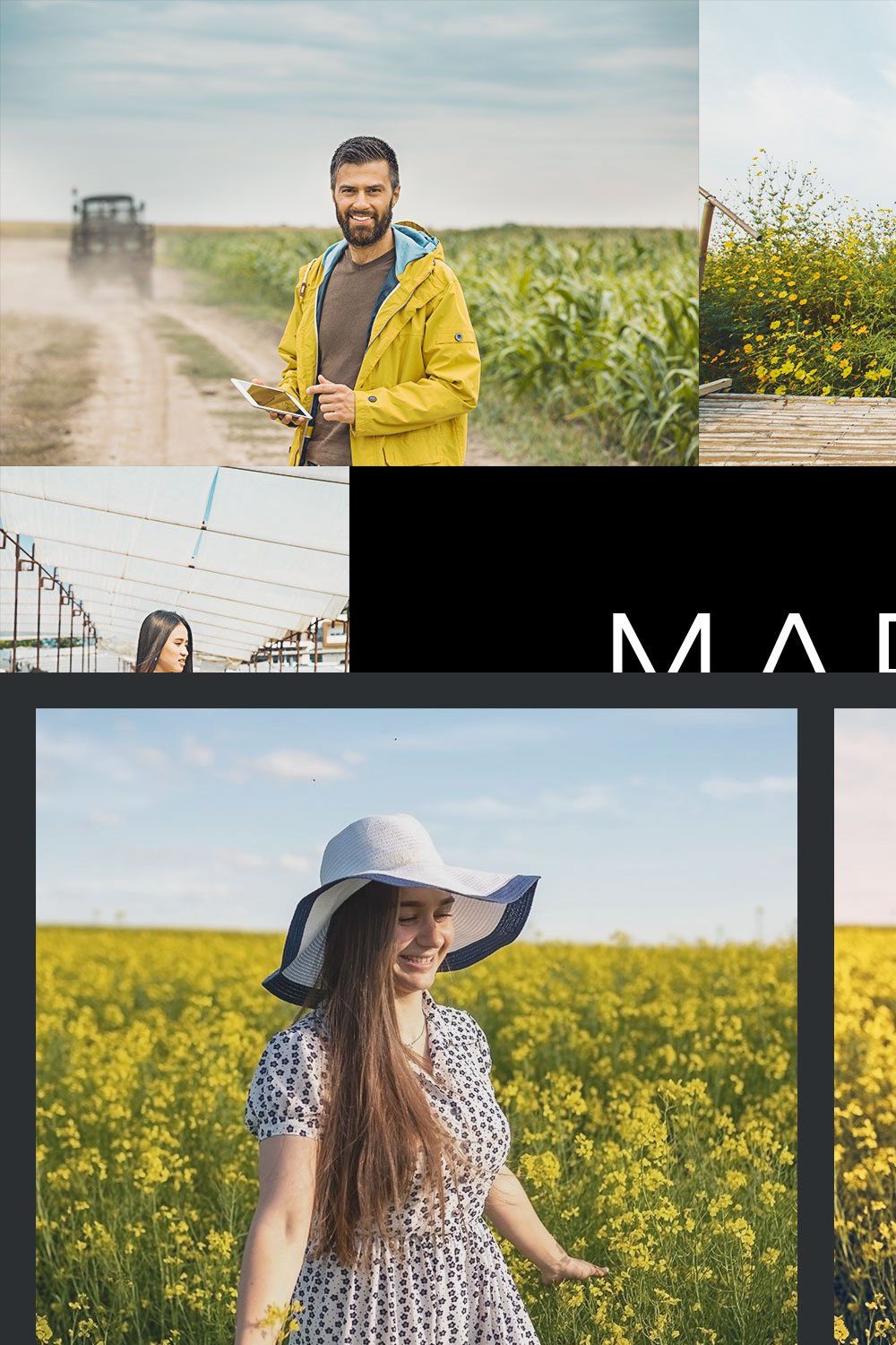 20 Marigold Lightroom Presets & LUTs pinterest preview image.