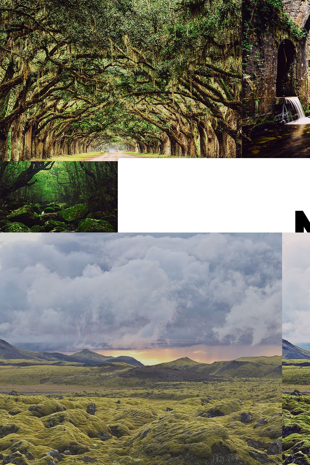 20 Moss Lightroom Presets & LUTs pinterest preview image.