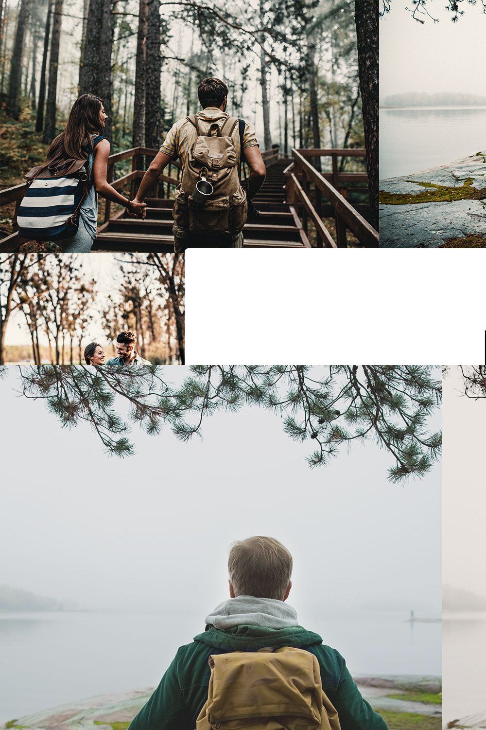 20 Pine Lightroom Presets & LUTs pinterest preview image.