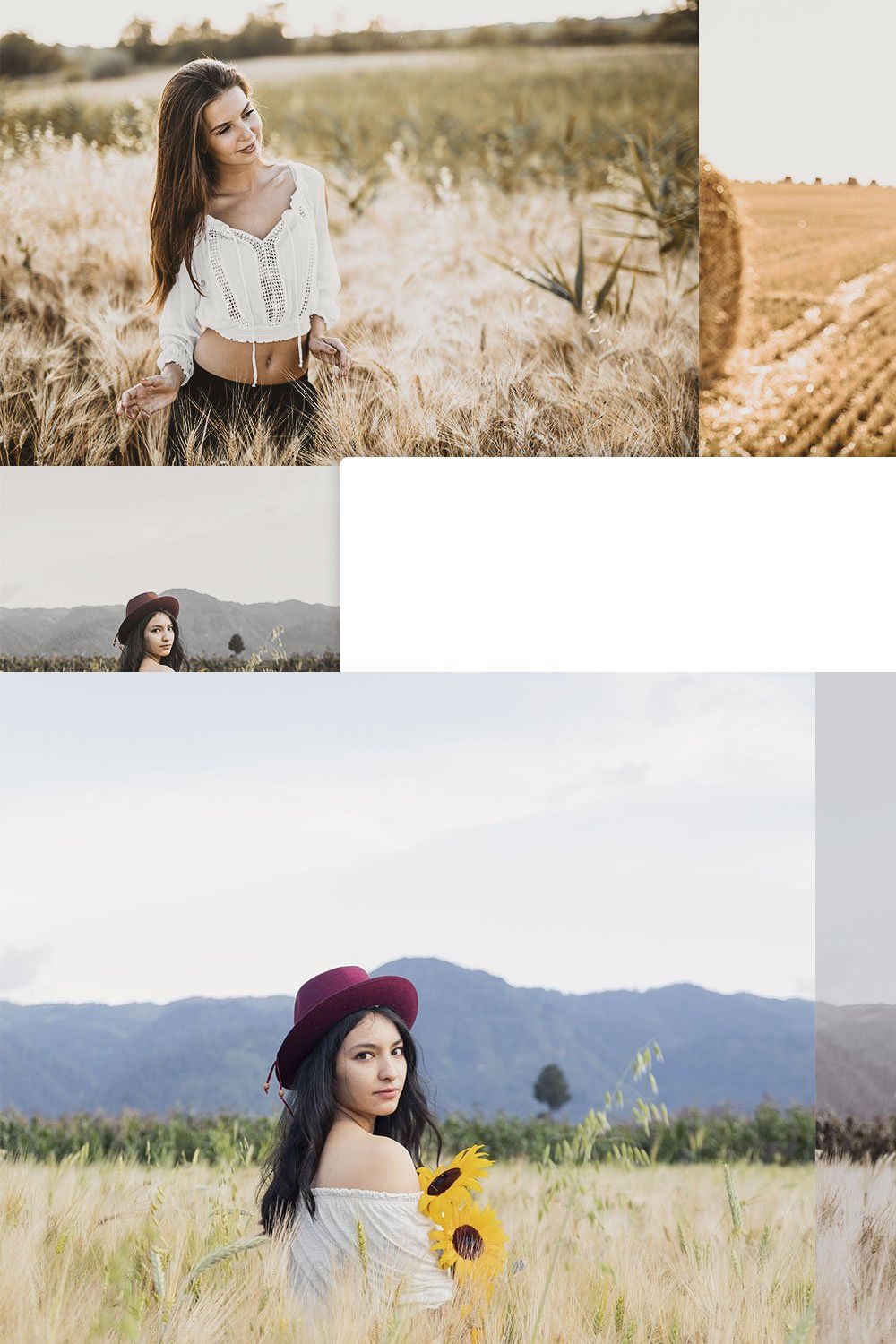 20 Rye Lightroom Presets & LUTs pinterest preview image.