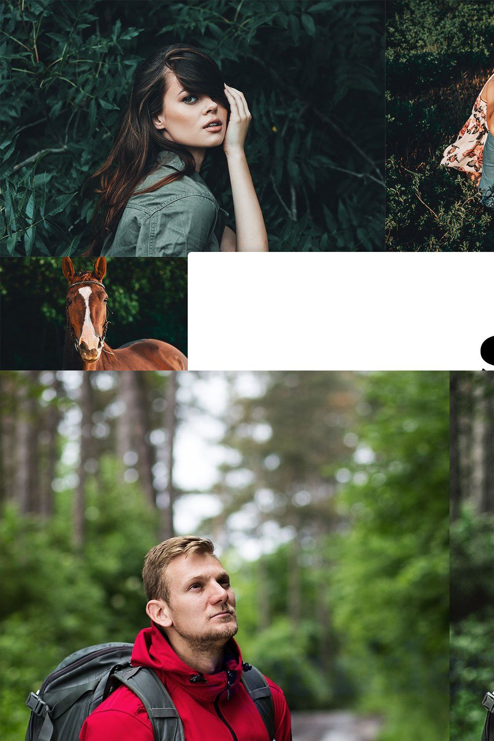 20 Sage Lightroom Presets & LUTs pinterest preview image.