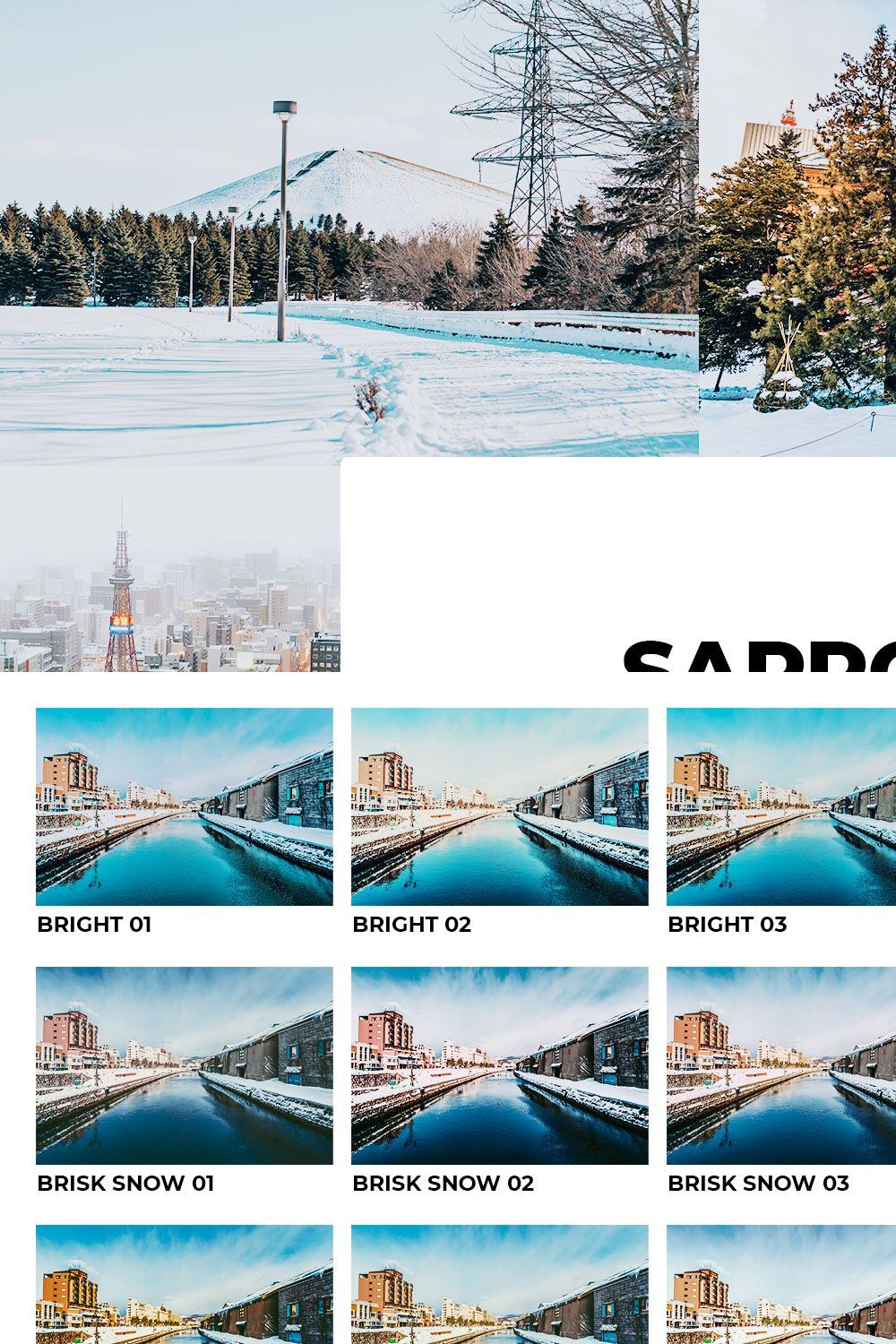 20 Sapporo Winter Lightroom Presets pinterest preview image.