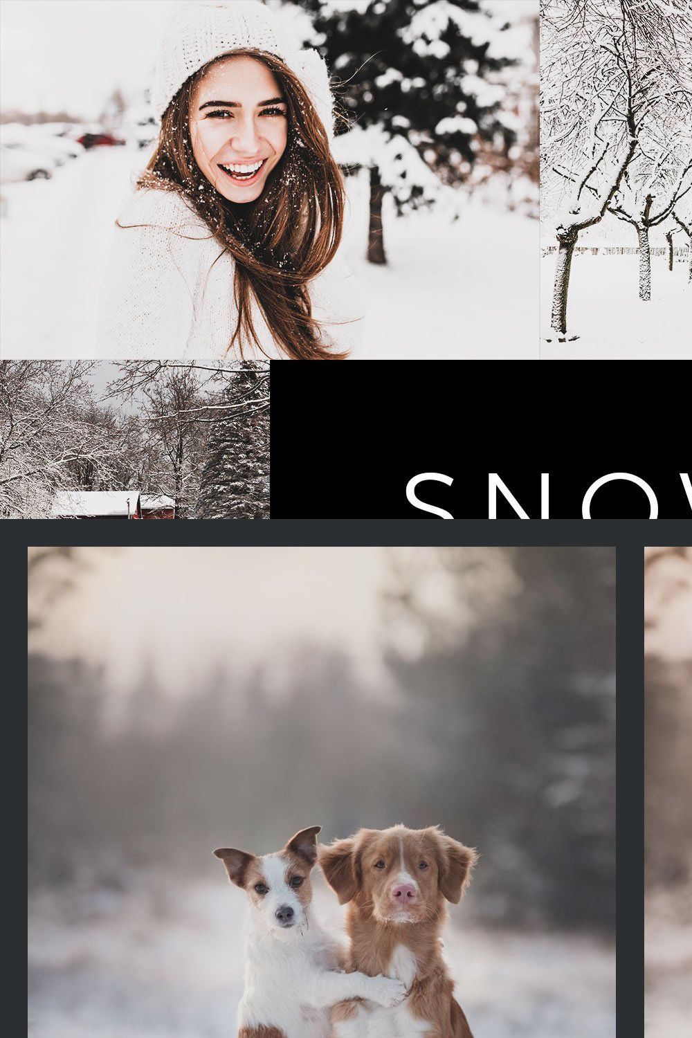 20 Snowscape Lightroom Presets & LUT pinterest preview image.