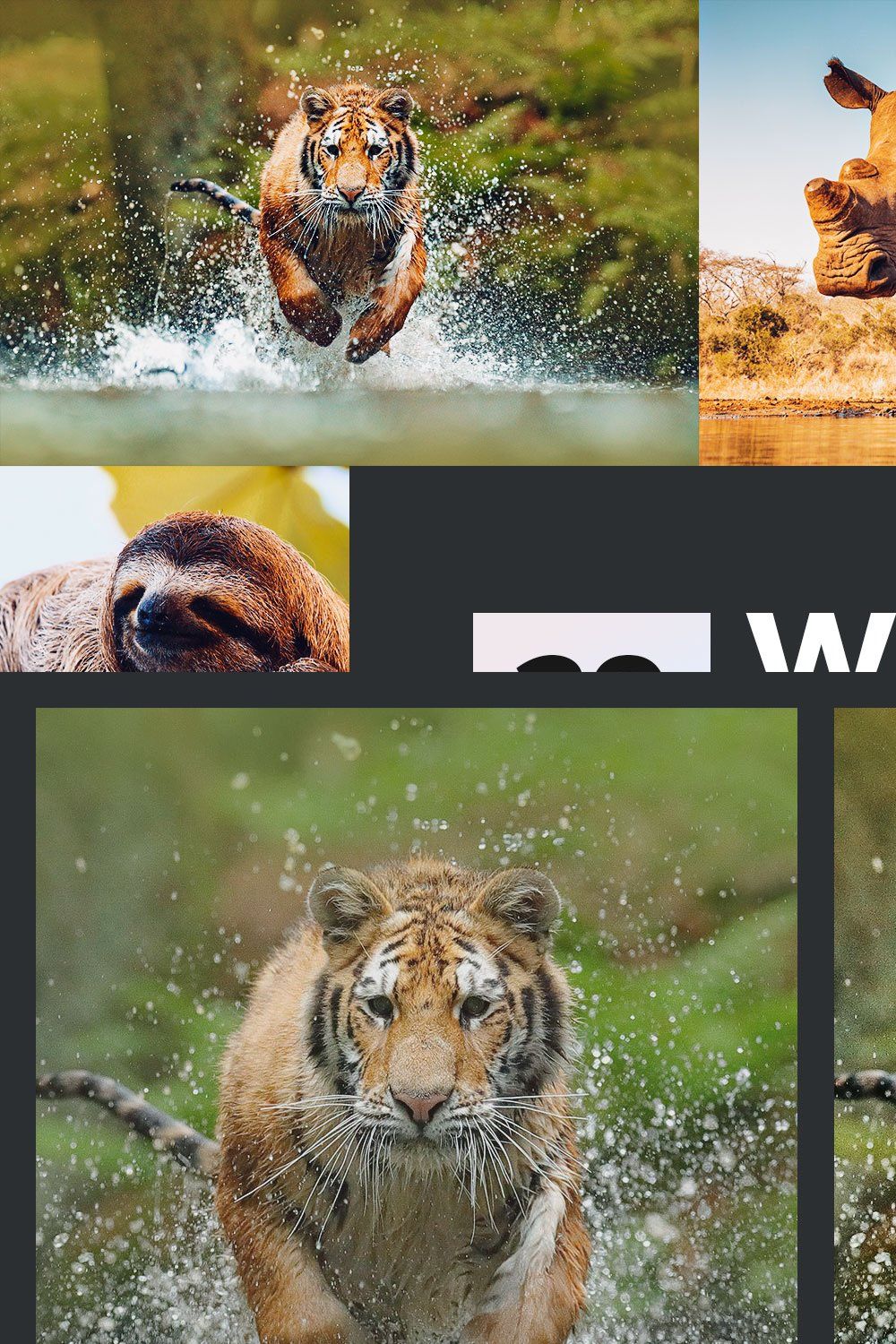 20 Wildlife Lightroom Presets & LUTs pinterest preview image.