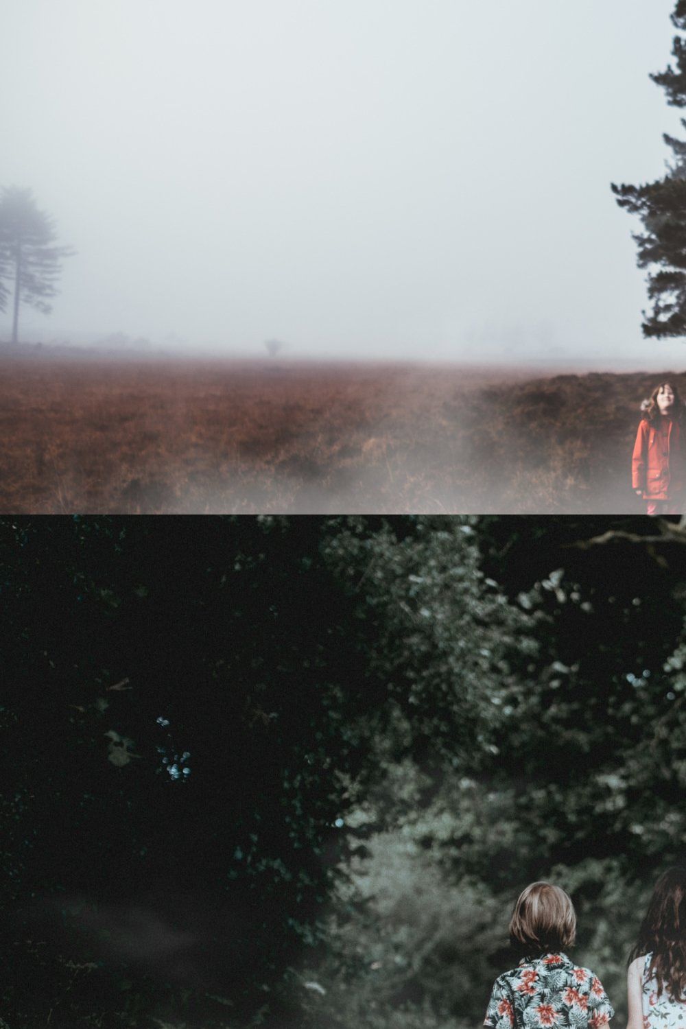239 Fog Photo Overlays pinterest preview image.