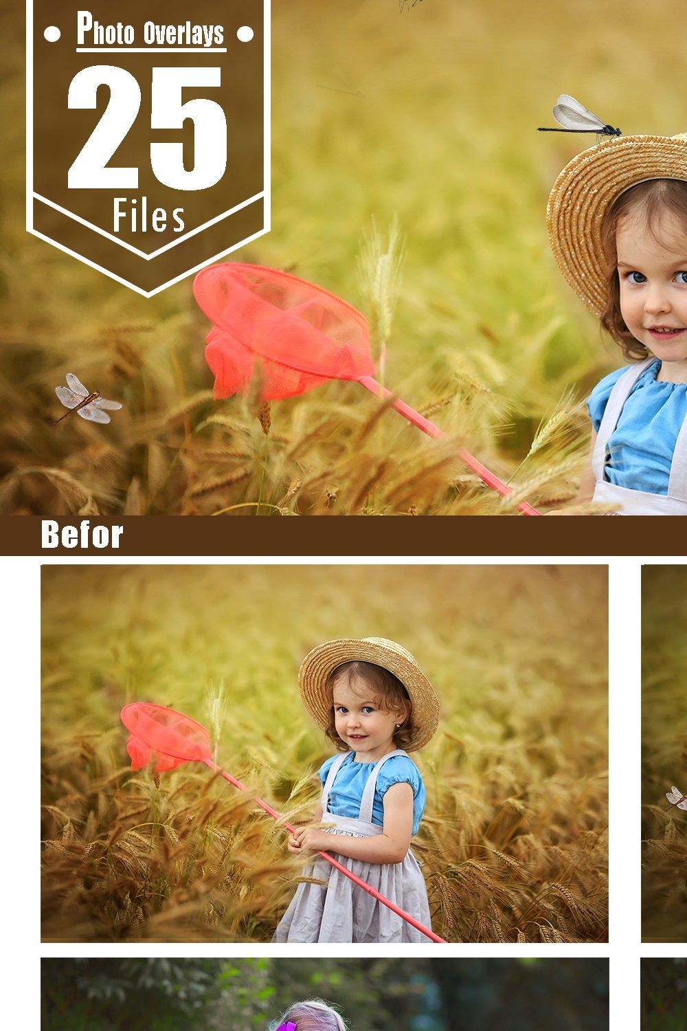 25 Dragonfly Photoshop overlays pinterest preview image.