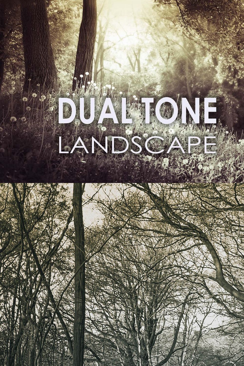 25 Dual Tone Landscape Presets pinterest preview image.